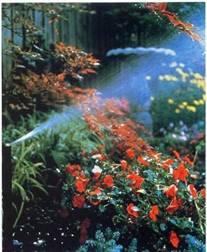 Irrigation Experts Balsam Lake Wisconsin