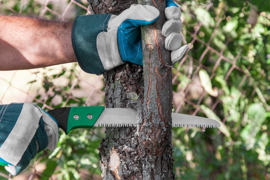 Tree Trimming Services